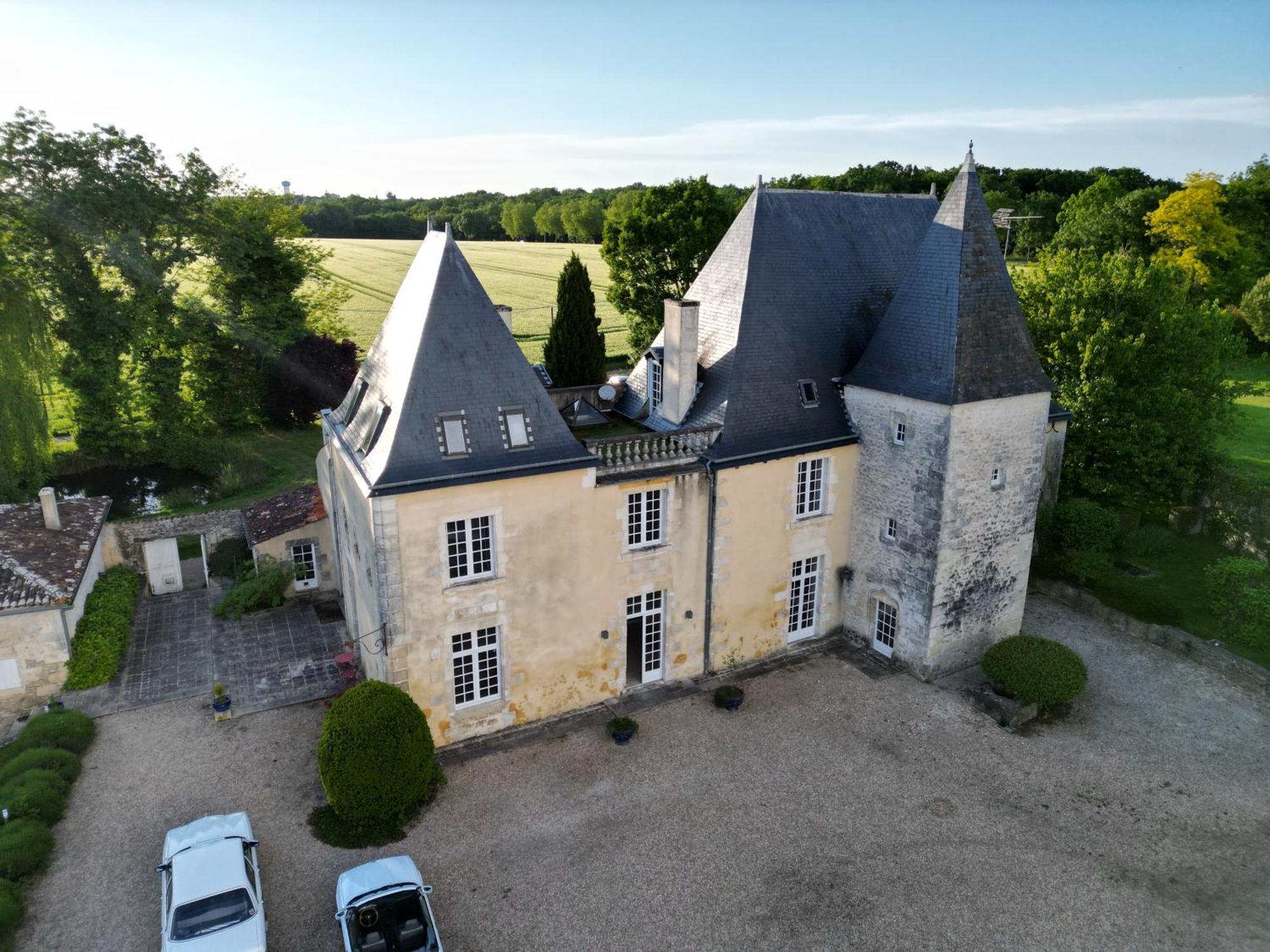 Chateau De La Vallade Saint-Porchaire Buitenkant foto